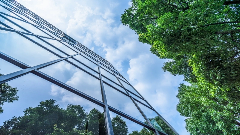 commercial tree work